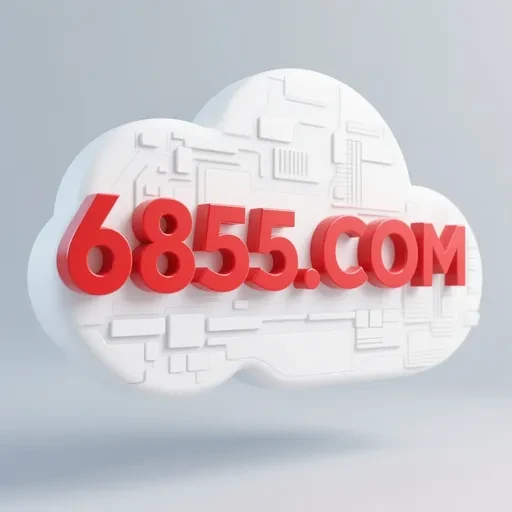 6855.com
